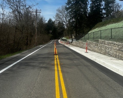 Newcastle - Article 1